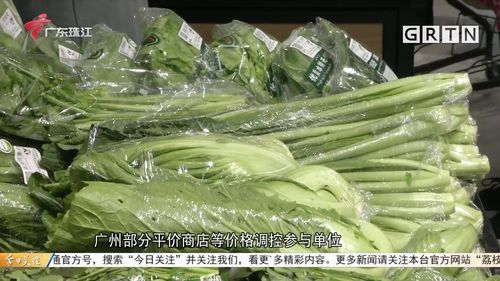 广州节前农副产品价格调控 平价商店菜价低15